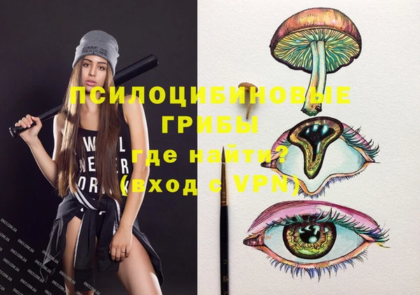 бошки Нея