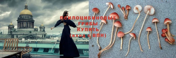 мескалин Нефтегорск