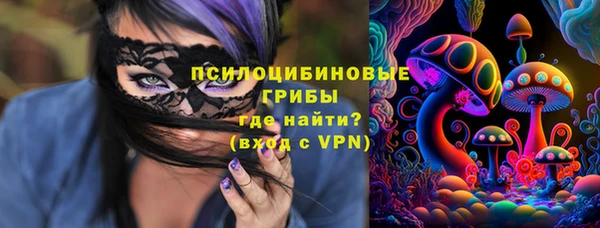 Альфа ПВП Нефтекумск