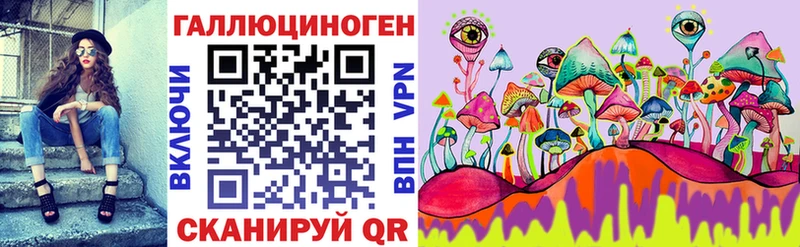 Псилоцибиновые грибы Psilocybine cubensis Омск