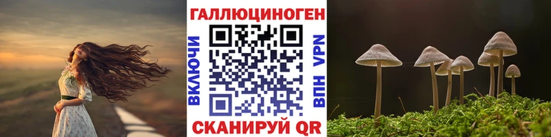 Псилоцибиновые грибы прущие грибы  Омск 