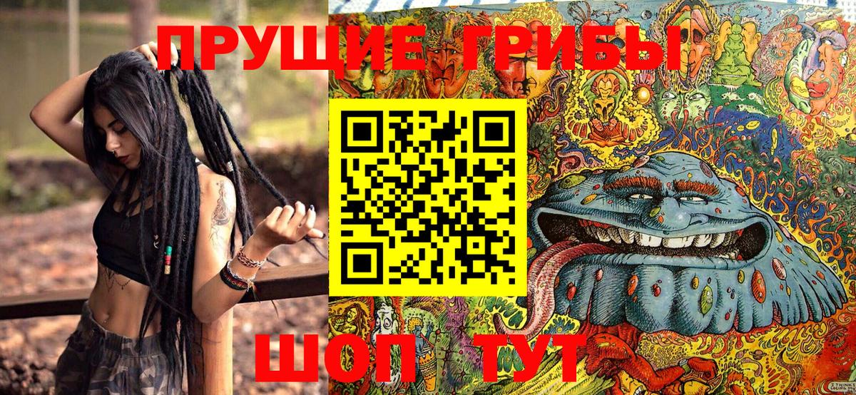 Псилоцибиновые грибы мухоморы Омск